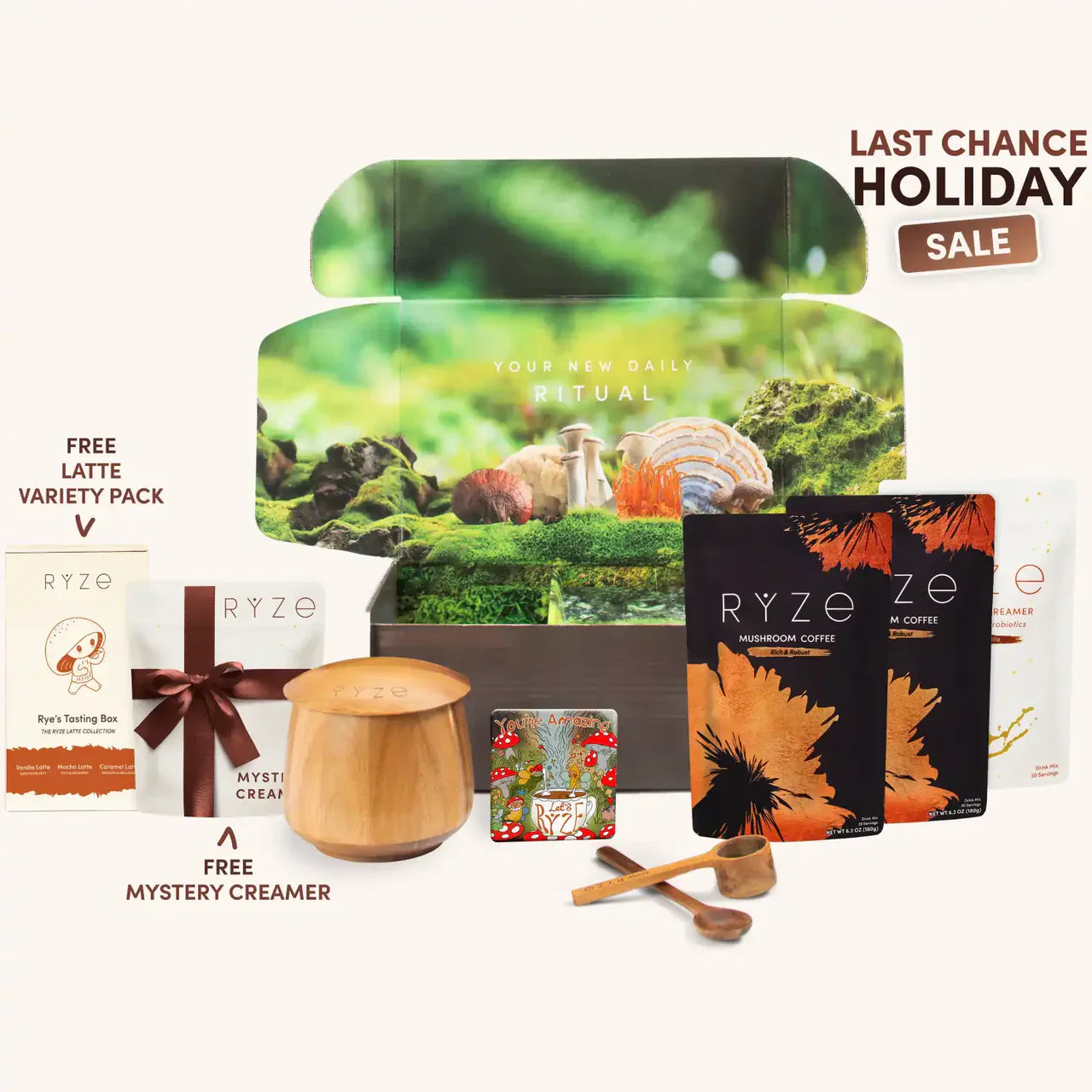 Mushroom Coffee Craft 60