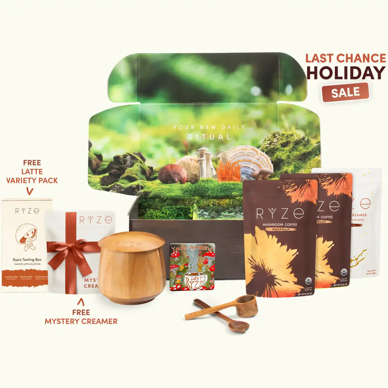 Mushroom Coffee Craft 60