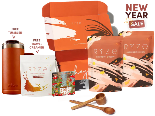 Starter Kit Cozy 12
