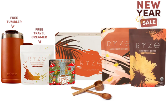 Lasting Energy Bundle Balanced 11